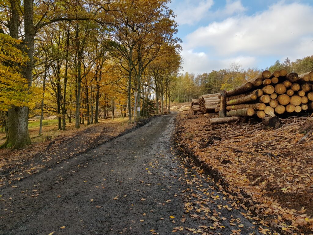 20201031_130521