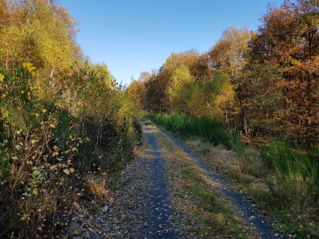 20201031_140739